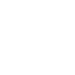 Skoda2